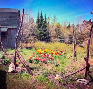 Lauren Hammersley Instagram - I built this fence today with deer netting, a chainsaw, a hammer and some nails.
I just know the first deer to come around is going to knock it down 😅