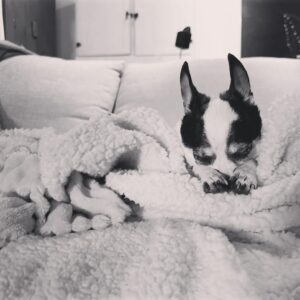 Lauren Hammersley Instagram - 