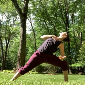 Lauren Kelston Instagram - Join me for a special virtual @yogaforalex class Sunday, June 14th at 10am EDT! Link to Register in Bio 💙🌈✨
.
#yogaforalex #inlovingmemory #hopefordepression #fundraising #raiseawareness #depression #findacure #mentalwellness #causes #giveback #yoga #yogalove #yogalife #yogaeverydamnday