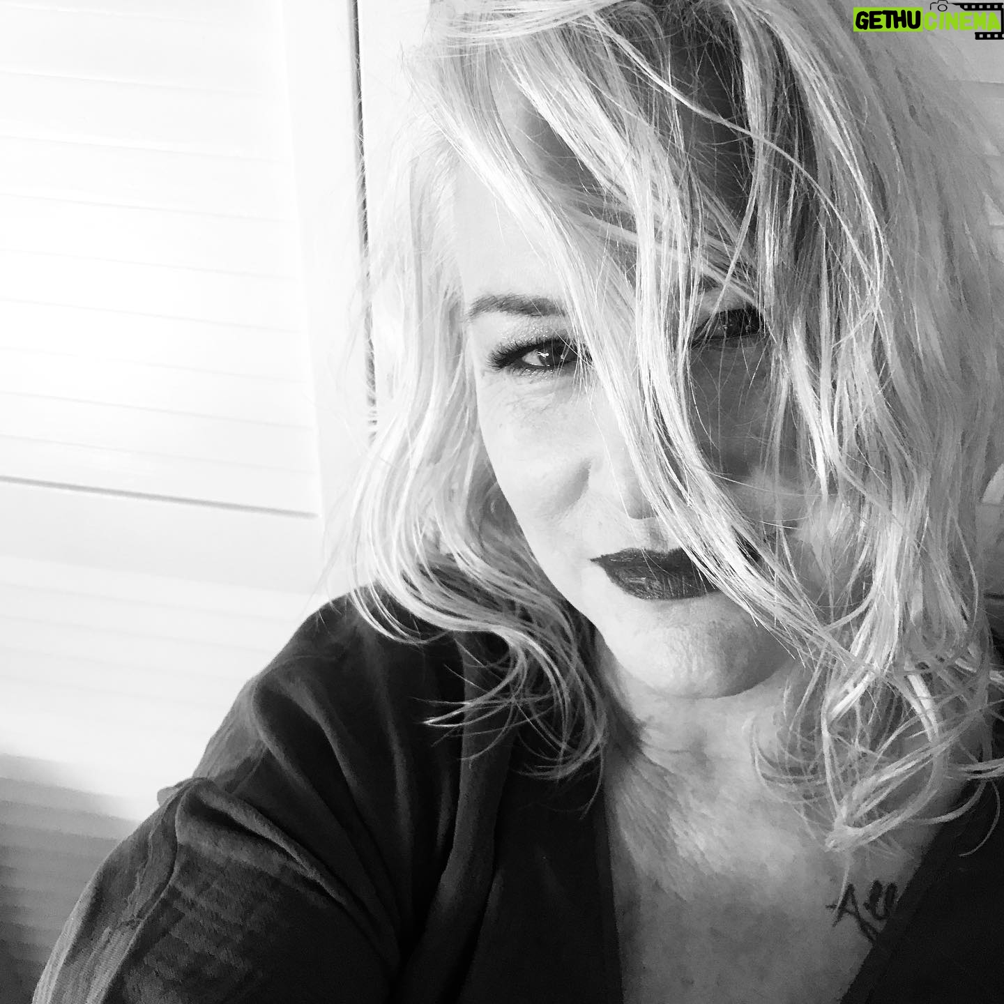 Lauren Lane - 4.3K Likes - Challenge accepted. #PaulaRosenberg