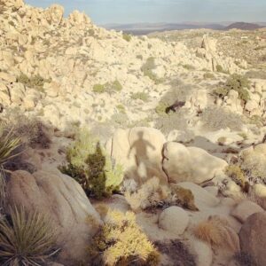 Lauren Lee Smith Instagram - Yucca valley with @doktadil 🌵❤️

@starbelovedtempleranch 🧚🏻‍♂️🙏🏻