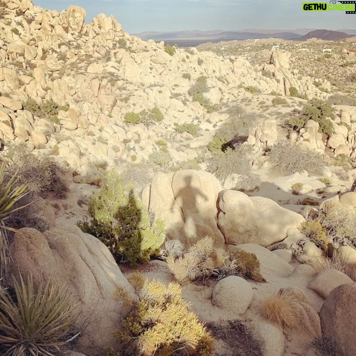 Lauren Lee Smith - 1K Likes - Yucca valley with @doktadil 🌵❤️
@starbelovedtempleranch 🧚🏻♂️🙏🏻