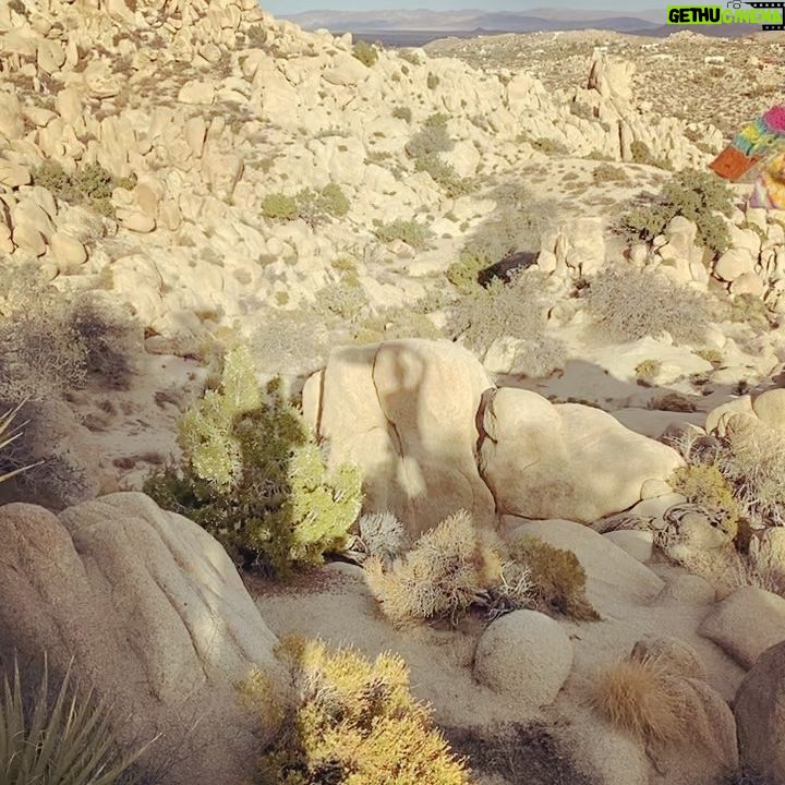 Lauren Lee Smith - 1K Likes - Yucca valley with @doktadil 🌵❤️
@starbelovedtempleranch 🧚🏻♂️🙏🏻