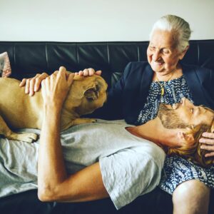 Laurent Kerusoré Instagram - 3 ans aujourd’hui que Ginette, première kékéné de la dynastie Keru! Elle me manque toujours autant. Pas une journée sans penser ou parler d’elle. C’était ma Ginette reine des Bouledogues. #bouledoguefrançais #ginette #🖤 #ilovemydog #toujoursavecmoi #frenchbulldog