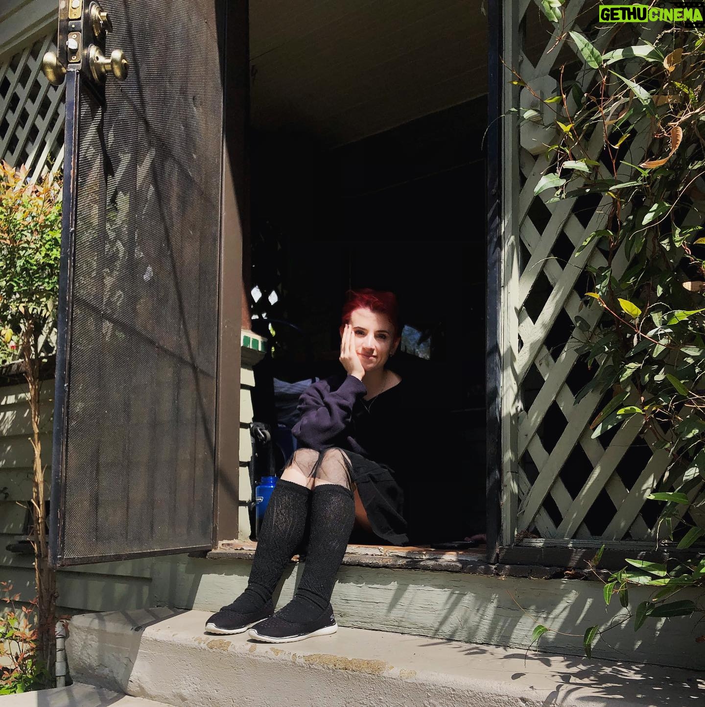 Laurie Penny - 449 Likes - Liz came round to have quarantine tea. She sat on a blanket in the front garden ten feet away. How’s everyone else spending this very strange Saturday?