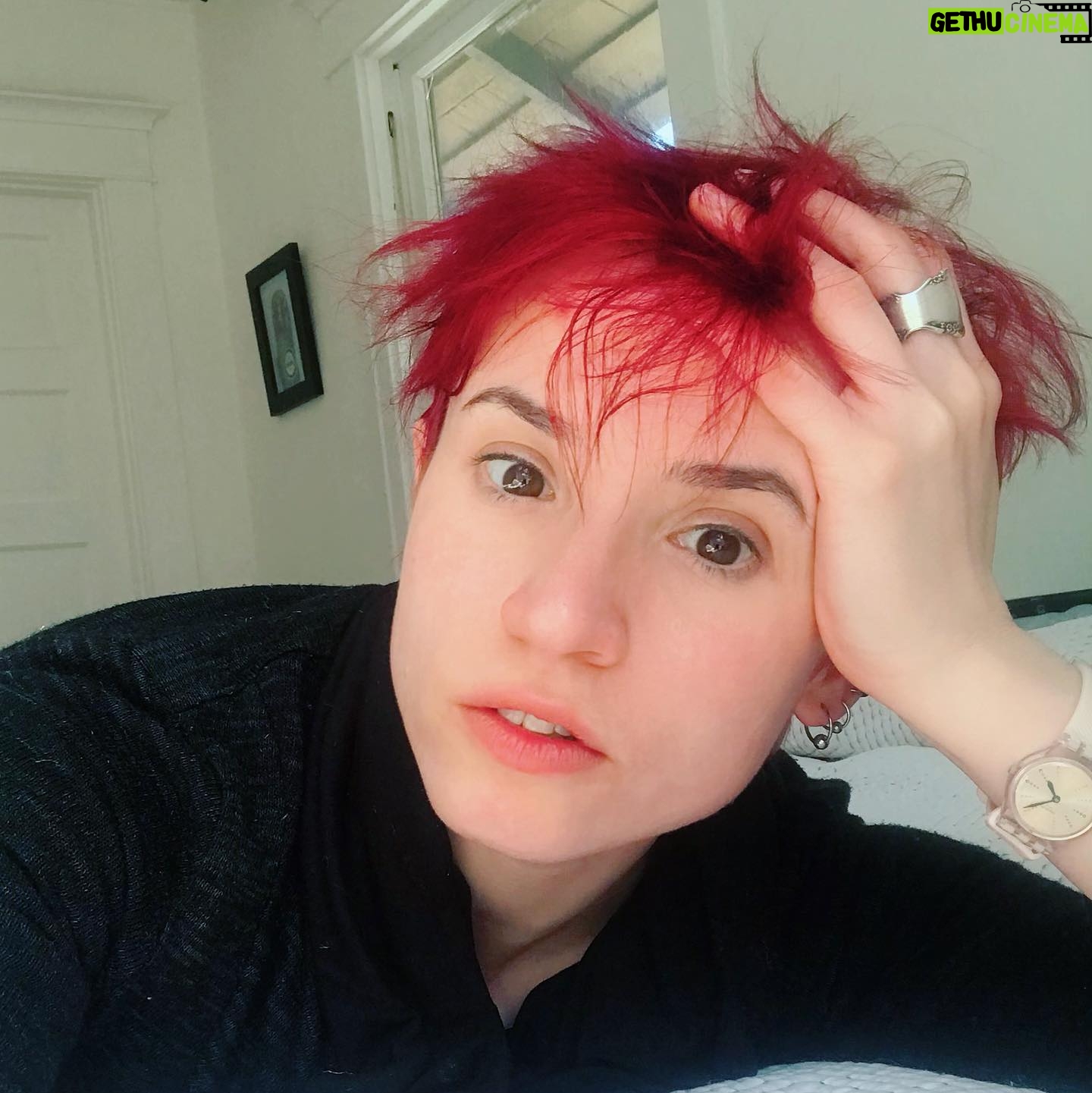 Laurie Penny - 542 Likes - Solidarity with anyone else accidentally growing out a pixie cut in these dark days. Soon the time of mulletting will be at hand.