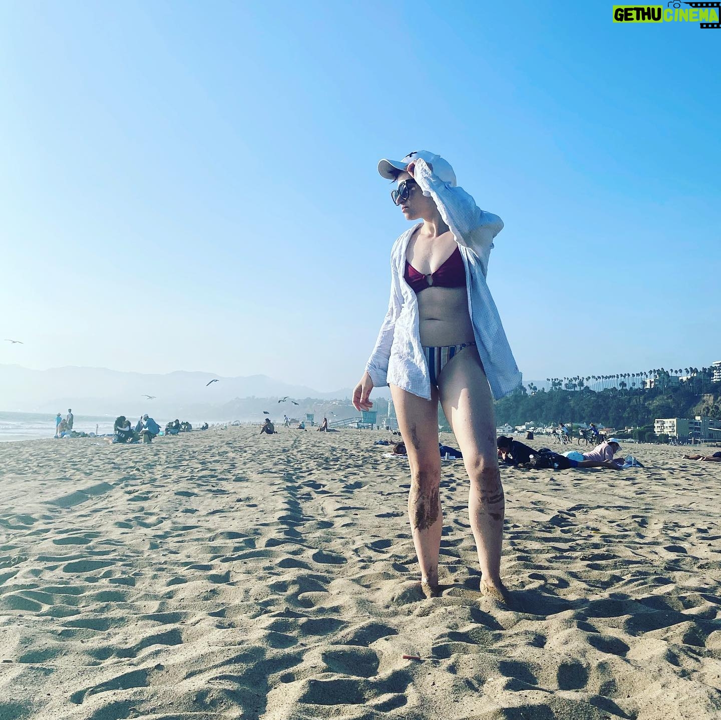 Laurie Penny - 609 Likes - Went to the beach. None of this is very on-brand, but it’s 2020, and also there were pelicans.