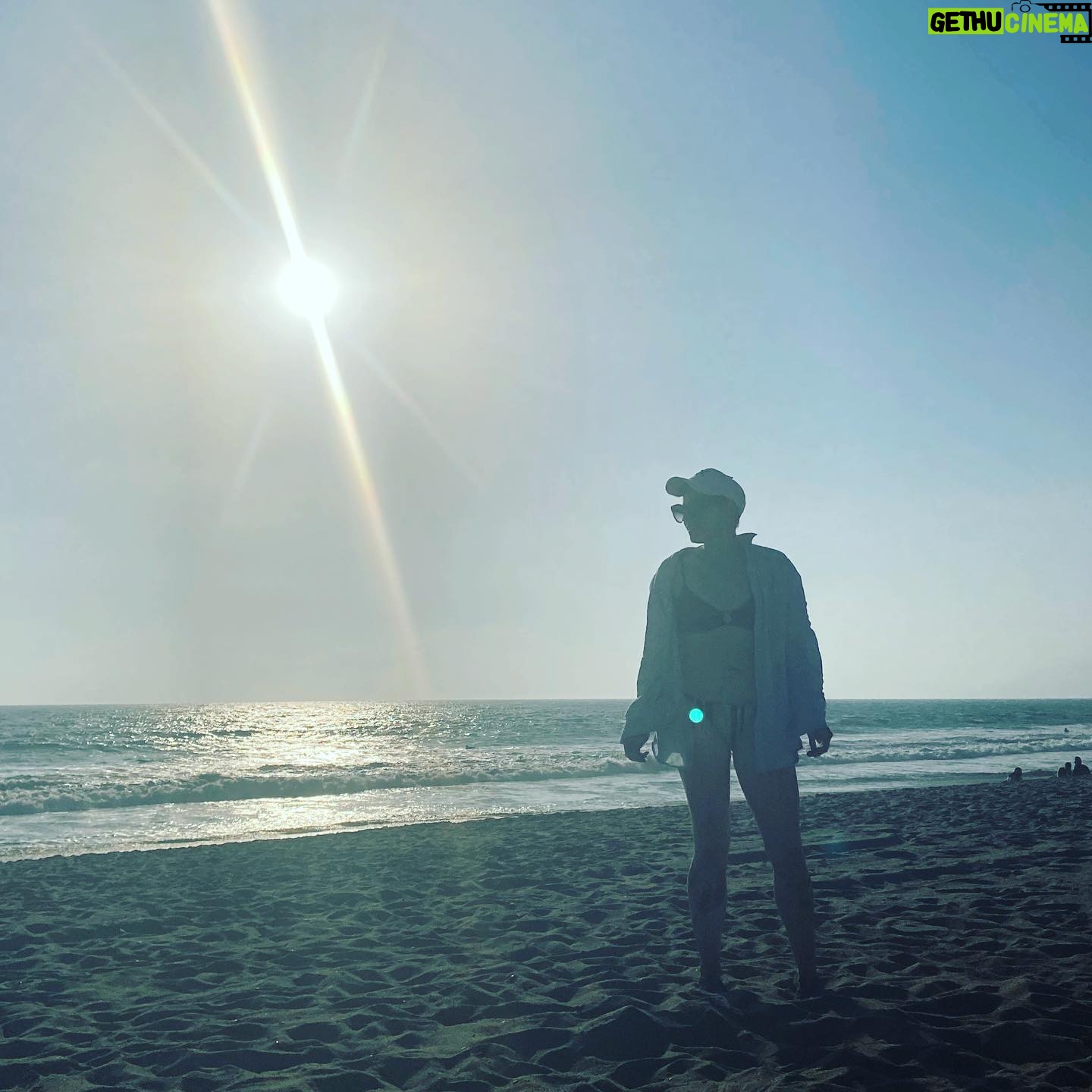 Laurie Penny - 609 Likes - Went to the beach. None of this is very on-brand, but it’s 2020, and also there were pelicans.
