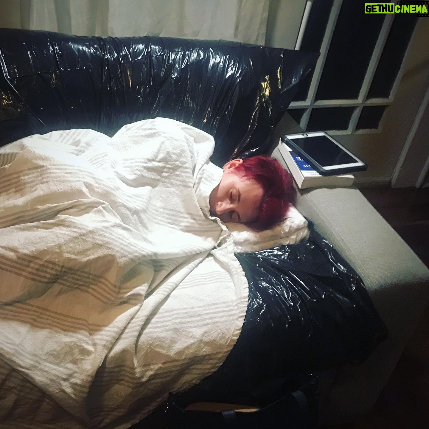 Laurie Penny - 348 Likes - Double quarantine update: bedbugs inside, Corona outside. Currently sleeping on some binbags under a tablecloth for a few hours. Decontamination Station in the kitchen/porch. It’s all very extra!