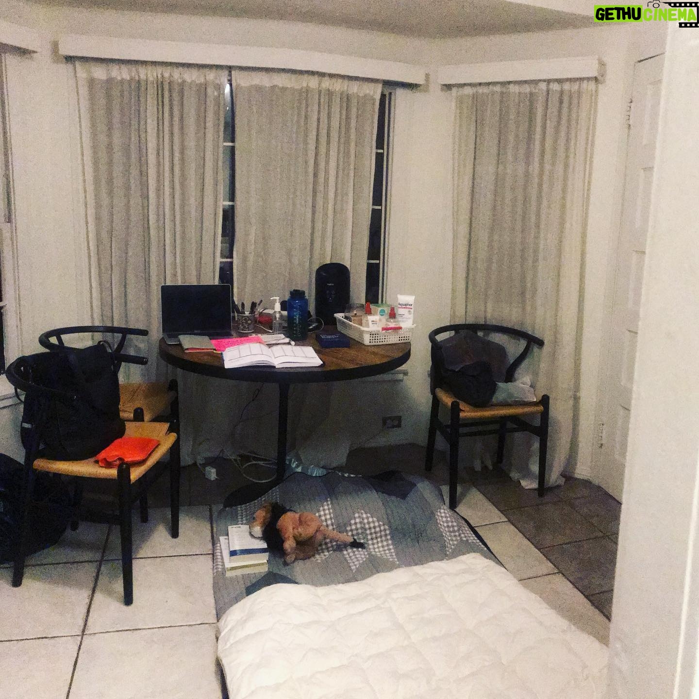 Laurie Penny - 348 Likes - Double quarantine update: bedbugs inside, Corona outside. Currently sleeping on some binbags under a tablecloth for a few hours. Decontamination Station in the kitchen/porch. It’s all very extra!
