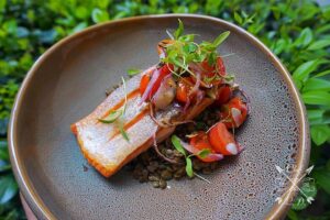 Lawrence Duran Instagram - Seared salmon/ Braised lentils/ Roasted cherry tomatoes, onion, & garlic/ Micro cilantro
.
.
.
.
.
.
.

#CleanEating #Salmon #F45Challenge #FitFam #PicOfTheDay #FoodPorn #IGDaily #IGFit #InstaFitness #InstaDaily #Fitness #FunFood #FoodGoals #Chef #PrivateChef #PrivateChefLife #WahlbergChef #Blessed