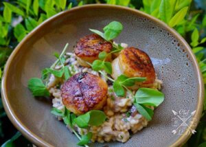 Lawrence Duran Instagram - My Comfort Food
Mushroom risotto/ Sea Scallops/ Pea shoots
.
.
.
.
.
.
.
#ComfortFood #Risotto #Scallops #Delicious #FunFood #CheatMeal #IMakeMoreThanJustTacos #Classic #FitFoodie #PicOfTheDay #FoodPorn #IGDaily #IGFoodie #InstaGood #InstaDaily #Chef #PrivateChef #ChefLife #WahlbergChef #Blessed