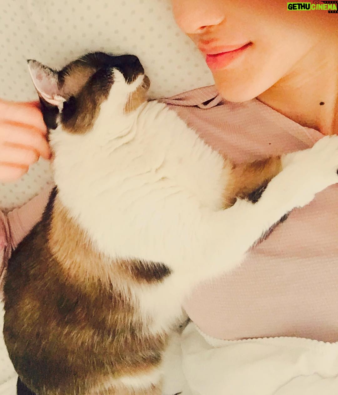 Layla Alizada - 1.6K Likes - Morning cuddles with #sushi 💕#catlife