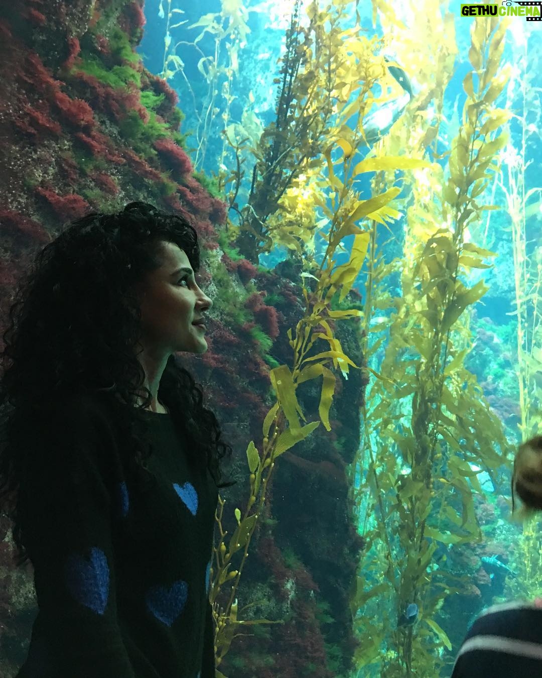Layla Alizada - 2.1K Likes - Surrender to new experiences. Surround yourself with people who share your deepest values, who bring out the best in you, who make the effort to remember the important things going on in your life. Who believe in you when you’re struggling. This allows real connection and love to exist. Sometimes I forget to live by this. But then I am reminded that the people we spend our lives with shape our path, for better or worse. Choose wisely 💫✨