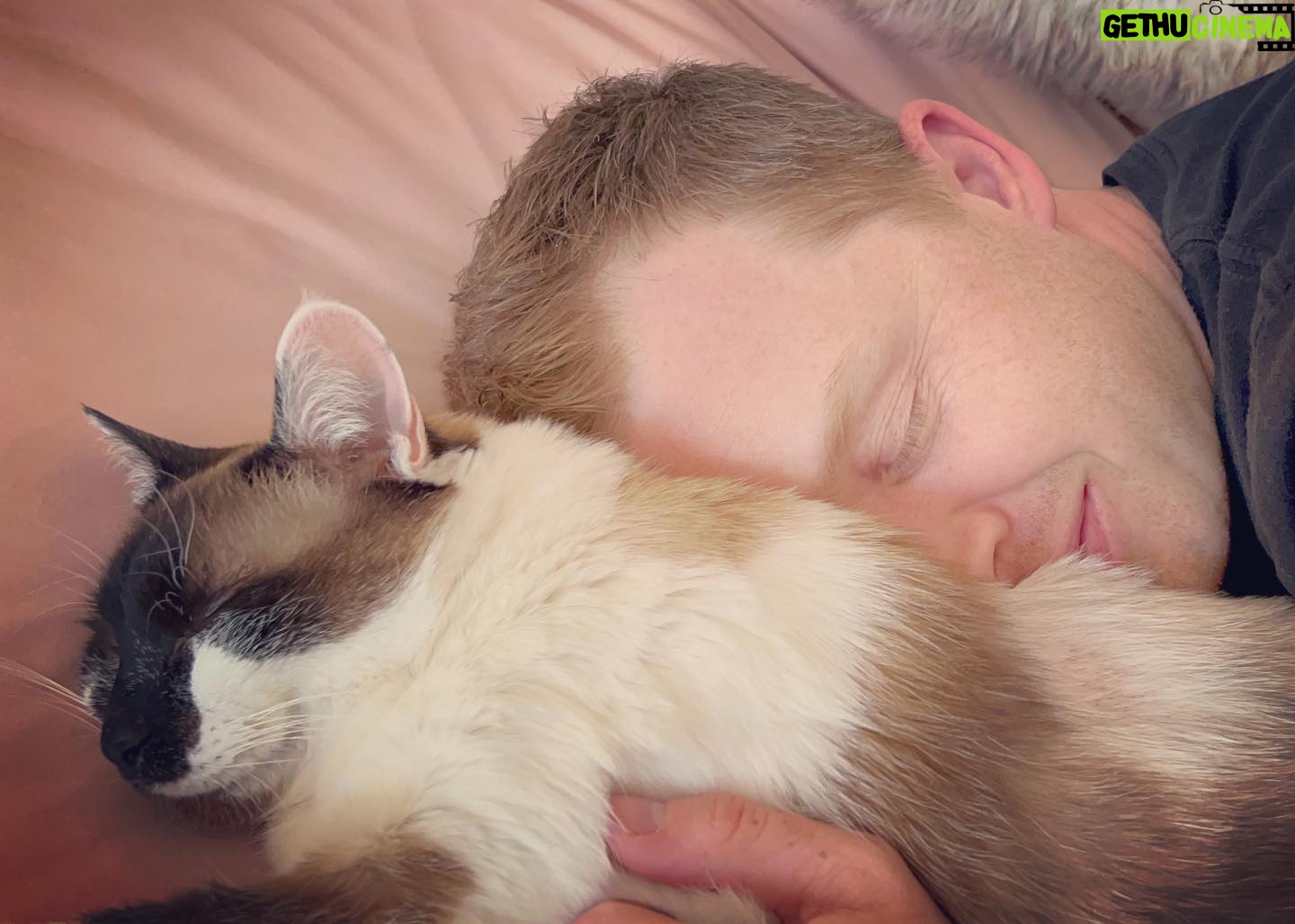 Layla Alizada - 8K Likes - Best #catdad ever. Trying to nurse our little Sushi back to health š¾