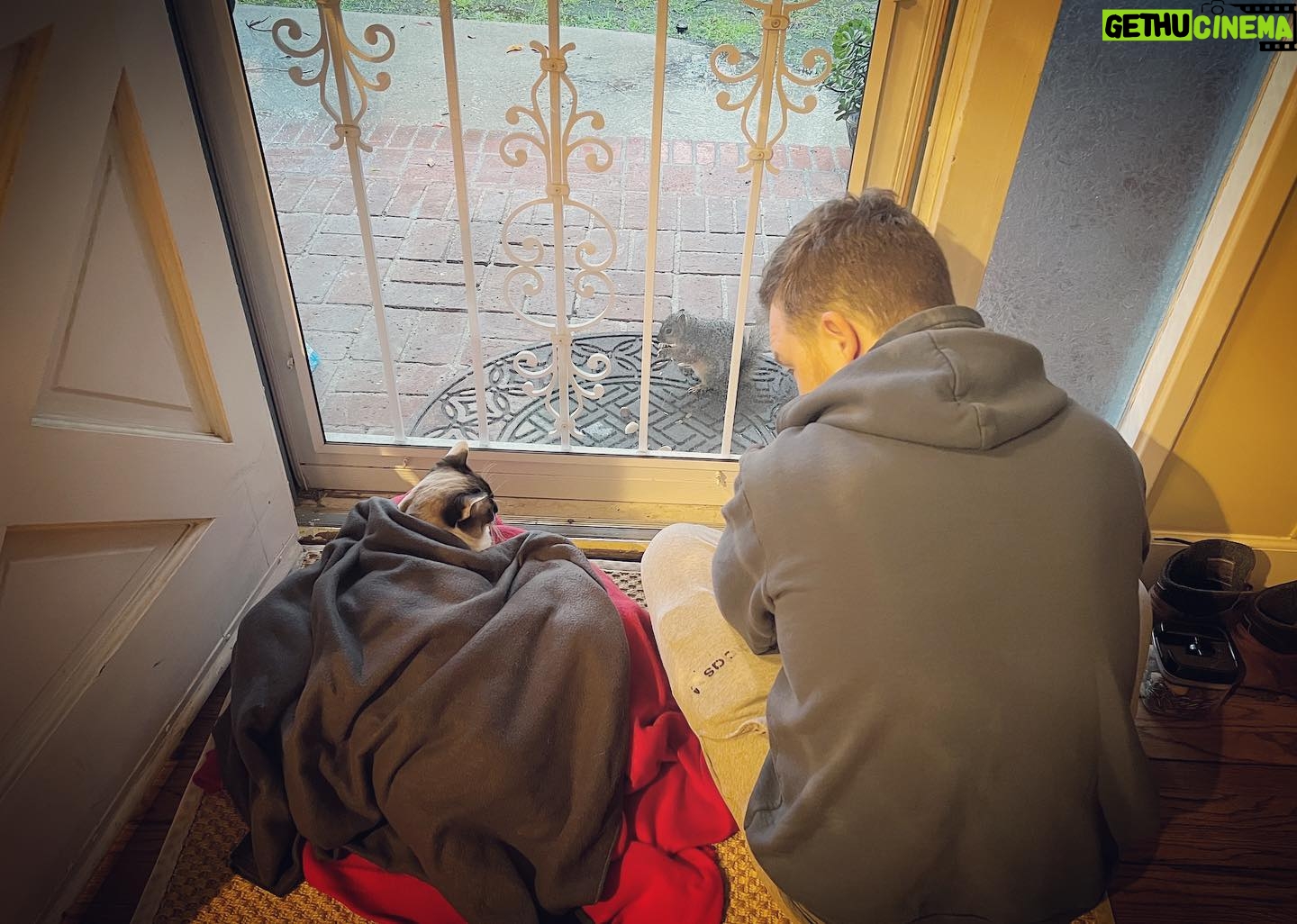 Layla Alizada - 8K Likes - Best #catdad ever. Trying to nurse our little Sushi back to health š¾
