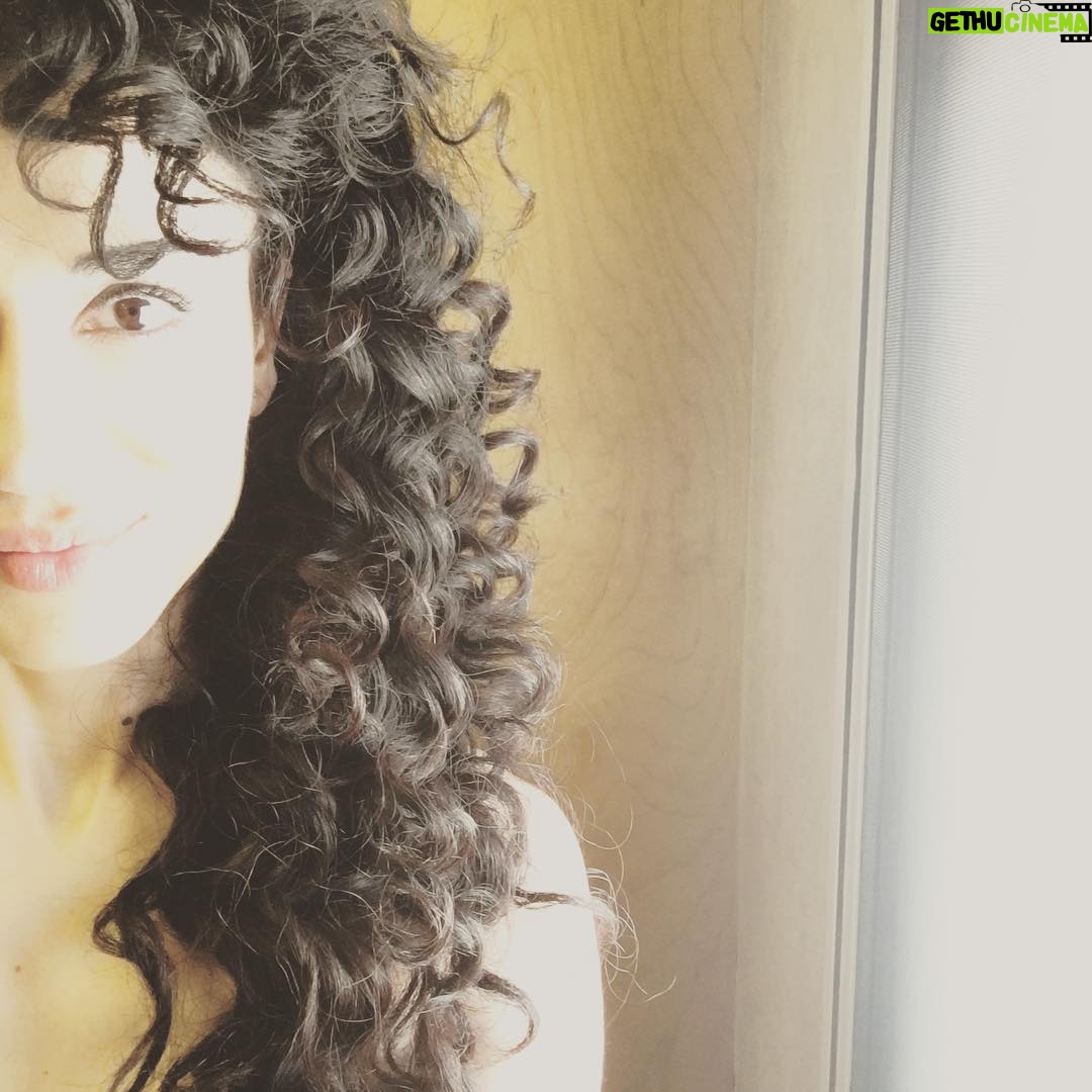 Layla Alizada - 2.1K Likes - I am sleep deprived from defective smoke alarms going off intermittently for hrs, starting at 3am - yay- but seeing your posts warms my heart. Thank you for all the incredible #fanart You guys are the best 🐱❤️