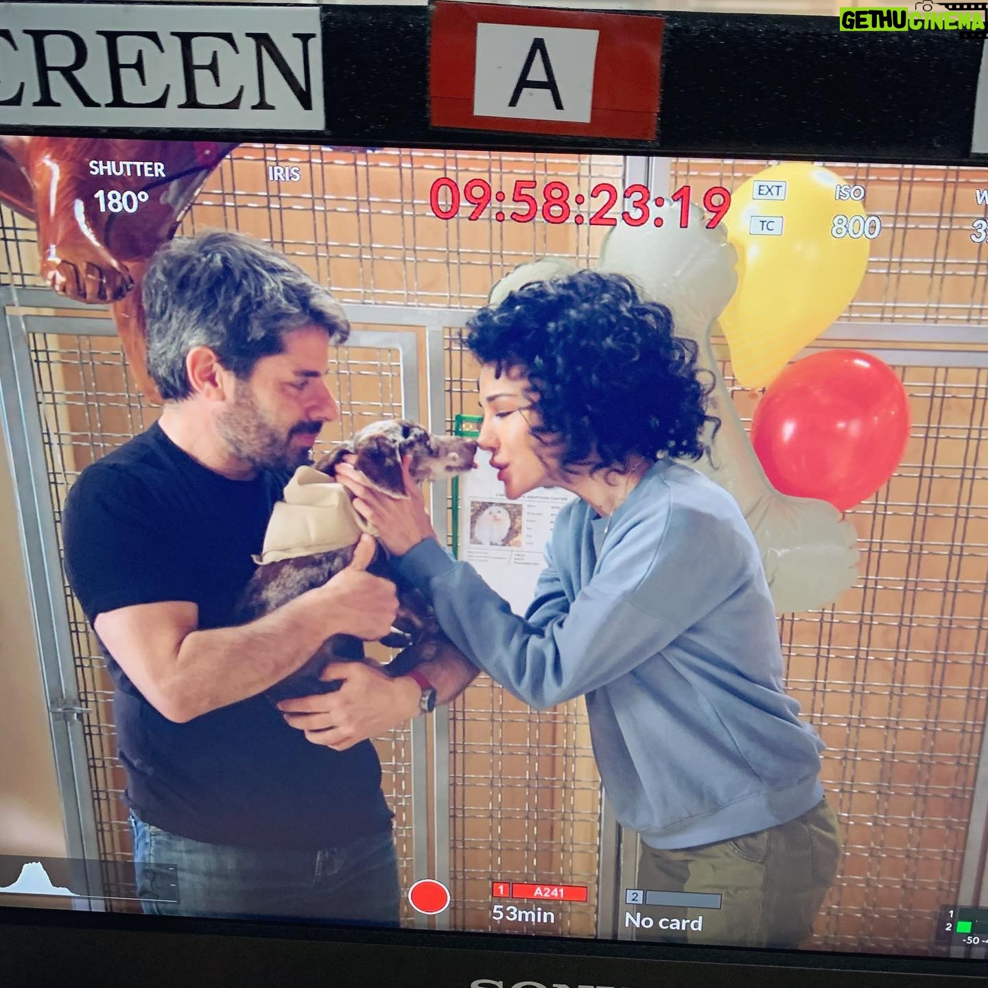 Layla Alizada - 1.3K Likes - Loved getting to be a part of this uplifting show and hang out with some furry friends. All episodes streaming on #appletvplus 🐾 Here are some BTS pics!