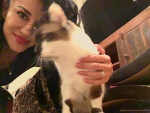 Layla Alizada Instagram - That time I tried to take a selfie with the Sushinator and she ditched me for her tunnel #tbt❤️ #catlife