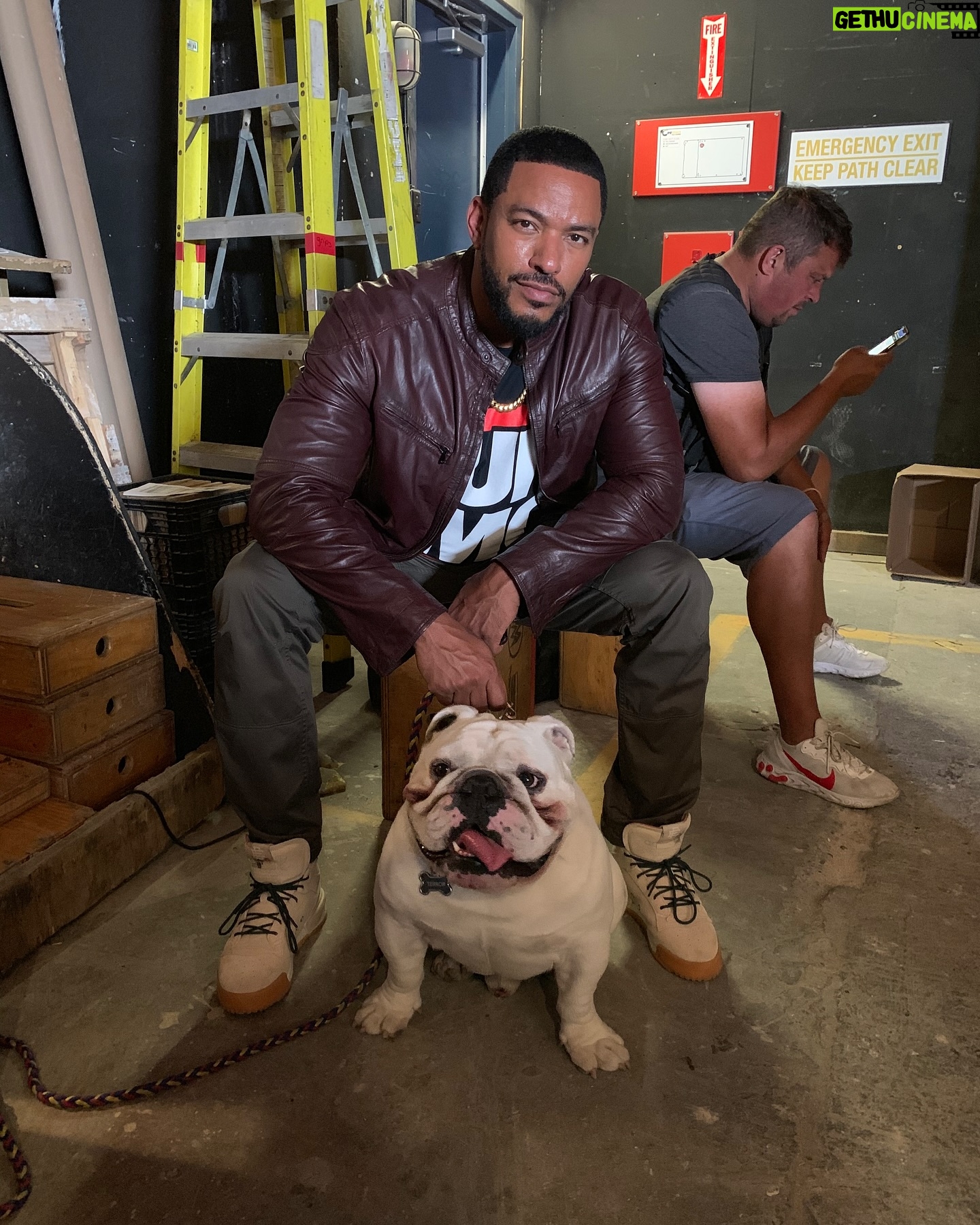 Laz Alonso - 116.6K Likes - The Bulldog that made me fall in love with bulldogs! I prefer English, how about you?