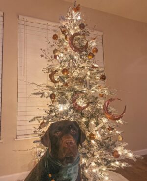 Leah Dizon Instagram - 🤎🐾🎄