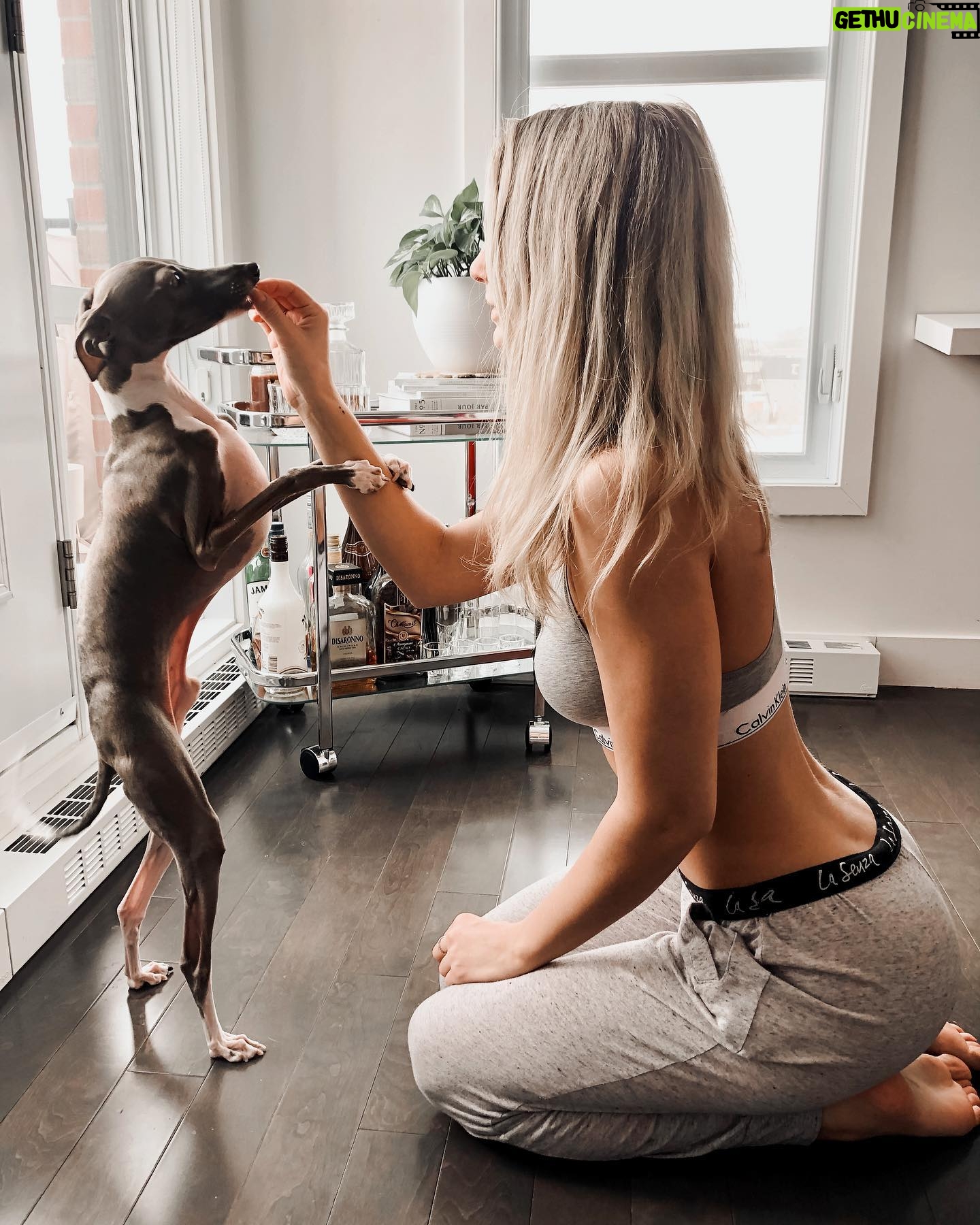 Léanne Lévesque - 860 Likes - Petit bonhomme. 🖤