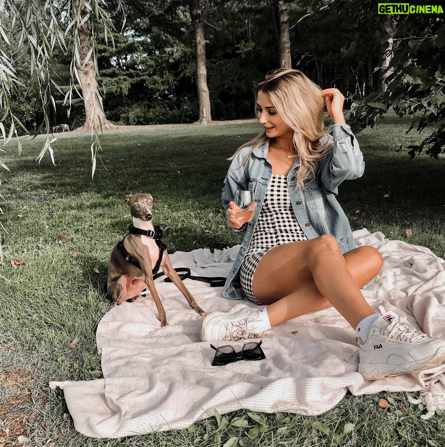 Léanne Lévesque - 310 Likes - Être bien accompagné 🦦
.
.
.
.
.
.
.
#iggy #greyhound #italiangreyhound