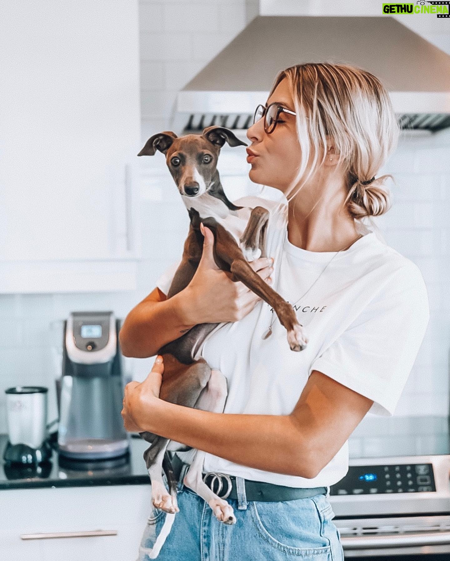 Léanne Lévesque - 885 Likes - Mon bébé va avoir 1 an le mois prochain pouvez-vous croire 😭 On me demande souvent des nouvelles de lui car ça l’air que je post pas assez de story avec faut croire !! Il va mieux que jamais, sa patte a guéri un petit peu croche mais bon on vit avec 🙃 Merci encore à vous tous de lui avoir permis de continuer sa vie ❤️ D’ailleurs pour sa fête, Louis aimerait comme cadeau simplement des dons à la SPCA afin de sauver la vie de d’autres animaux. Je vous laisse le lien juste ici 👉🏻 https://www.spca.com/donnez/