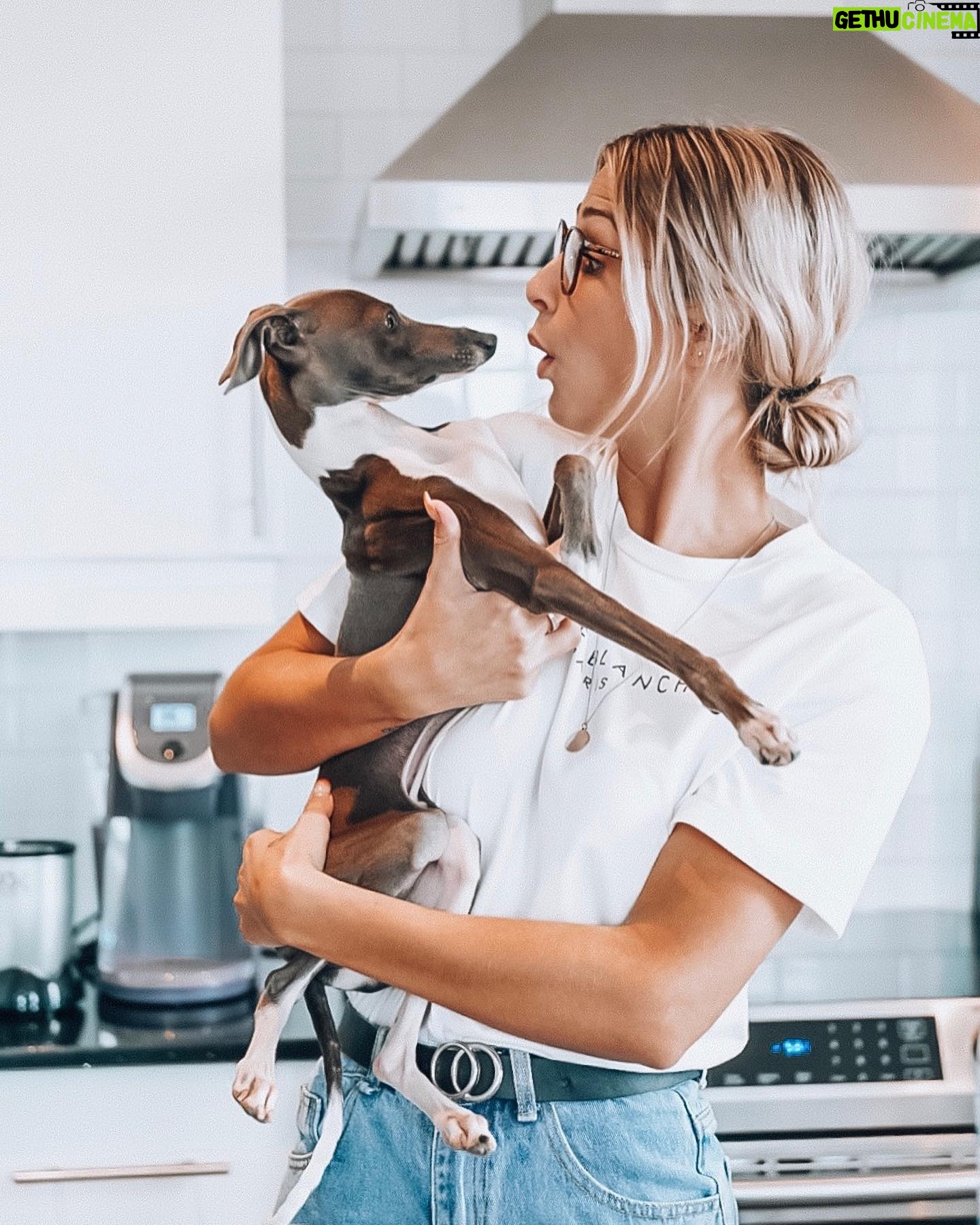 Léanne Lévesque - 885 Likes - Mon bébé va avoir 1 an le mois prochain pouvez-vous croire 😭 On me demande souvent des nouvelles de lui car ça l’air que je post pas assez de story avec faut croire !! Il va mieux que jamais, sa patte a guéri un petit peu croche mais bon on vit avec 🙃 Merci encore à vous tous de lui avoir permis de continuer sa vie ❤️ D’ailleurs pour sa fête, Louis aimerait comme cadeau simplement des dons à la SPCA afin de sauver la vie de d’autres animaux. Je vous laisse le lien juste ici 👉🏻 https://www.spca.com/donnez/