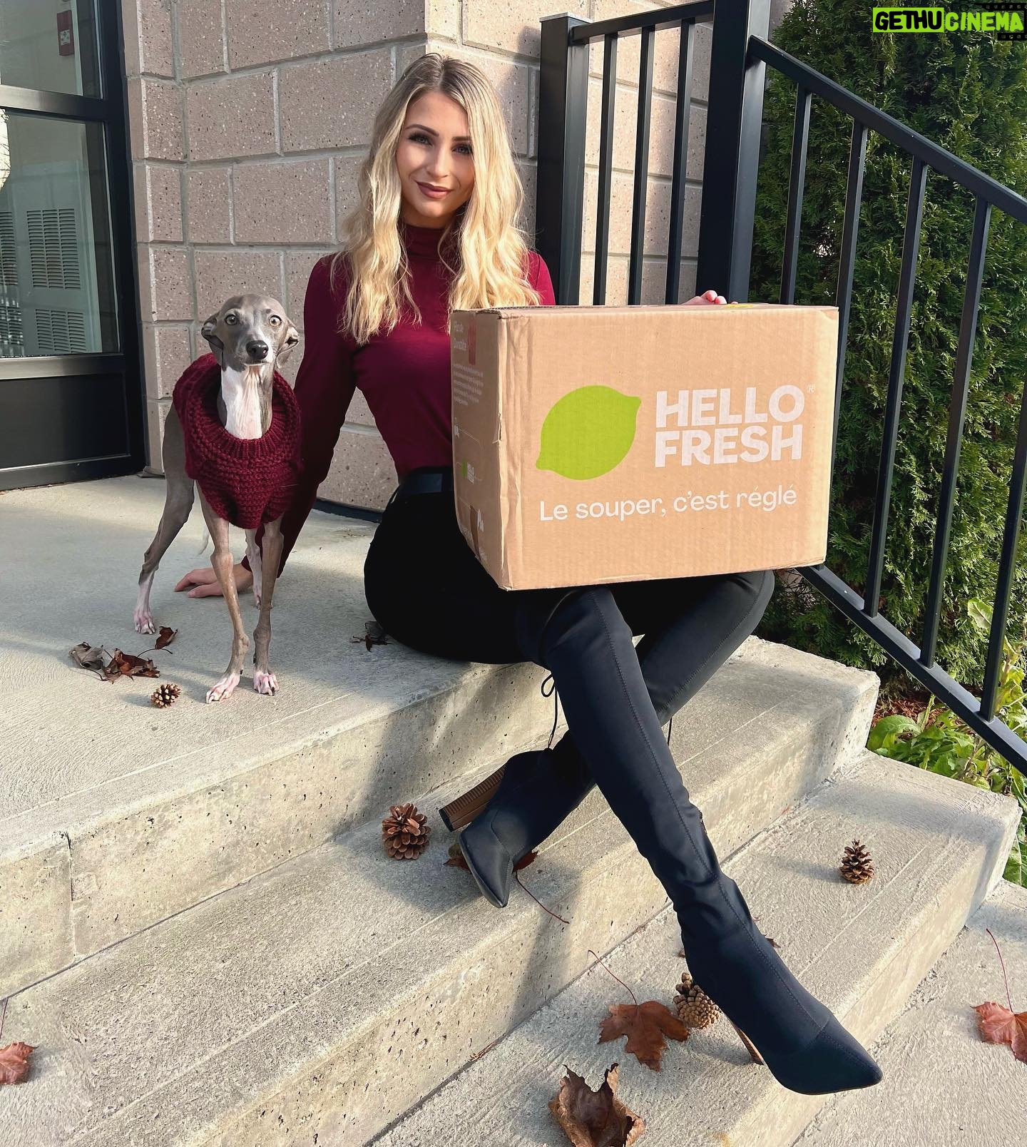Léanne Lévesque - 178 Likes - Cette semaine j’ai essayé les boîtes repas @hellofreshca et je dois dire que j’ai eu un gros coup de coeur pour leurs recettes ! Tout était délicieux et bien détaillé sur chacune des fiches repas. Tellement bien expliqué que même mon chum a réussi une recette pour te donner une idée ! 😃 Si toi aussi tu as envie d’essayer, utilise mon code 16THEFLAMEST pour recevoir jusqu’à 16 portions gratuites en plus de la livraison sans frais. 🚛 📦
(Voir lien dans ma bio*)
#partenairehellofresh #commandité