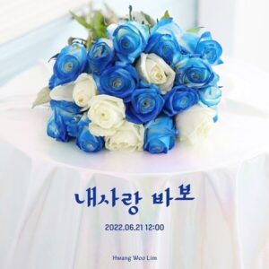Lee Chang-min Instagram - 21일 정오(12:00) 발매 
이 세상의 모든 잘생긴 바보들에게 이곡을 바칩니다.

내사랑 바보 - 황우림

Lyrics by 이창민
Composed by 이창민, 문6uoy
Arranged by 문6uoy

#내사랑바보 #황우림 #이창민 #문6uoy #작곡가의삶
