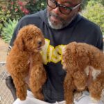 Lee Daniels