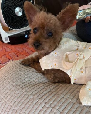 Lee Hak-ju Instagram - 가을이돼서야 
모카와의 여름사진 업로드..