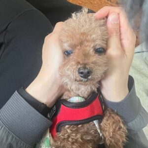 Lee Hak-ju Instagram - 모시고살기
