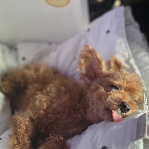 Lee Hak-ju Instagram - 형사록시즌2 7-8부! 
오늘부터 보실 수 있습니다
마지막까지 시청해주셔서 감사해요 오!무!사! 오늘도 무사히 ㅎ
사진은 이번 여름을 털어봤습니다
#형사록2#disney #이젠 몰아보기 가능^^