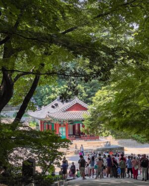 Lee Hsien Loong Instagram - Visited Seoul during my recent leave. It’s a vibrant metropolis where historic and natural spaces blend in with the urban landscape. Little wonder it’s a favourite destination for Singaporeans who enjoy food, shopping and cultural experiences. I met quite a few families on holiday like me! 

Visiting new places, I enjoy photographing the scenes and activities, trying to capture a bit of the spirit of the place. If you’ve visited Seoul recently, do share your favourite memories here! – LHL

(Photos by me)