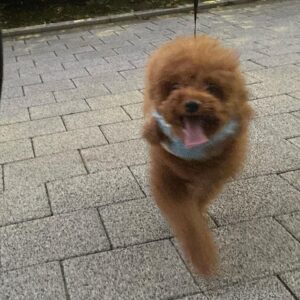 Lee Hyun-jun Instagram - 이토순