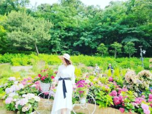 Lee Il-hwa Instagram - #수국정원
#불암산나비정원 
#기차가있는풍경카페
#화랑대철도공원🚂 
#타임뮤지엄
#신창석감독님 #배도환선배님 
#이명호배우님