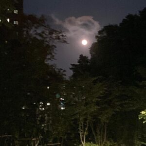 Lee Jong-hyuk Instagram - 즐거운 한가위되세요..배 찢어질까 산책중에 달에 구름이 멋지네