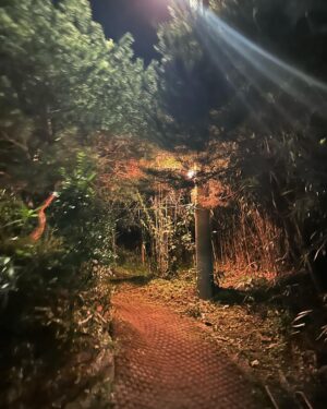 Lee Jong-hyuk Instagram - 소이작도에서 하루…낚시도 하고 (못잡음)해산물 원없이 먹고 ㅎ 추억쌓았네 가족여행..배타고 섬 여행들 해보세요…콧구멍에 바닷바람 쐬기 ㅎ
