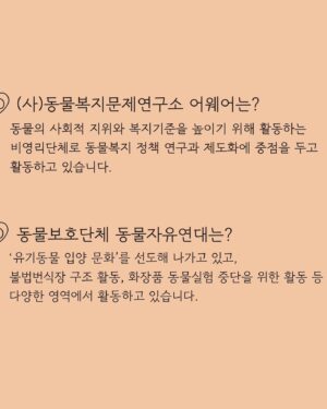 Lee Joo-young Instagram - 자 이 요 가 명 상  X  동 물 복 지 문 제 연 구 소
@jaiyogameditation X @awarekorea

제가 사랑하는 자이요가와 동물복지단체 어웨어에서
유기동물들을 위한 바자회   YOGA수업 이벤트를 준비해주셨어요

사랑하고 존경하는 감독님, 배우님 동료들과 
요가하며 힐링도 하고
기부도 하구요
무엇보다 우리가 꼭 들어야 할 이야기인 동물복지에 관한 이야기도 나눌 수 있어 좋았습니다
몸과 마음이 충만해지는 시간이었어요

어웨어 이형주 대표님이 하신 말씀 중에
“변화는 이벤트가 아니라 과정이다.” 
라는 말이 기억에 남아요
모두가 이 과정 속에 함께 했으면 좋겠습니다

자이요가, 어웨어 감사합니다
나마스테🌿

#외면하지말아요우리
#모든생명은소중합니다
#DontTurnAwayFromUs
#AllLifeIsPrecious