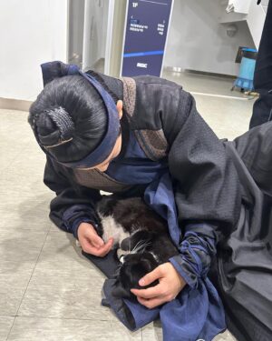 Lee Jung-jun Instagram - 장군이🐈‍⬛
⠀
⠀
⠀
⠀
⠀
⠀
⠀
#꼭두의계절 #고양이
