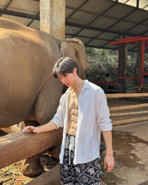 Lee Long Shi Instagram - ใฝ่ฝันขึ้นไปเป็นควาญช้าง 🐘🫶🏻