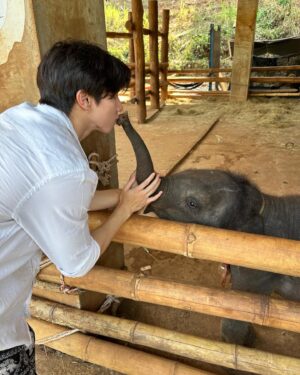 Lee Long Shi Instagram - ใฝ่ฝันขึ้นไปเป็นควาญช้าง 🐘🫶🏻