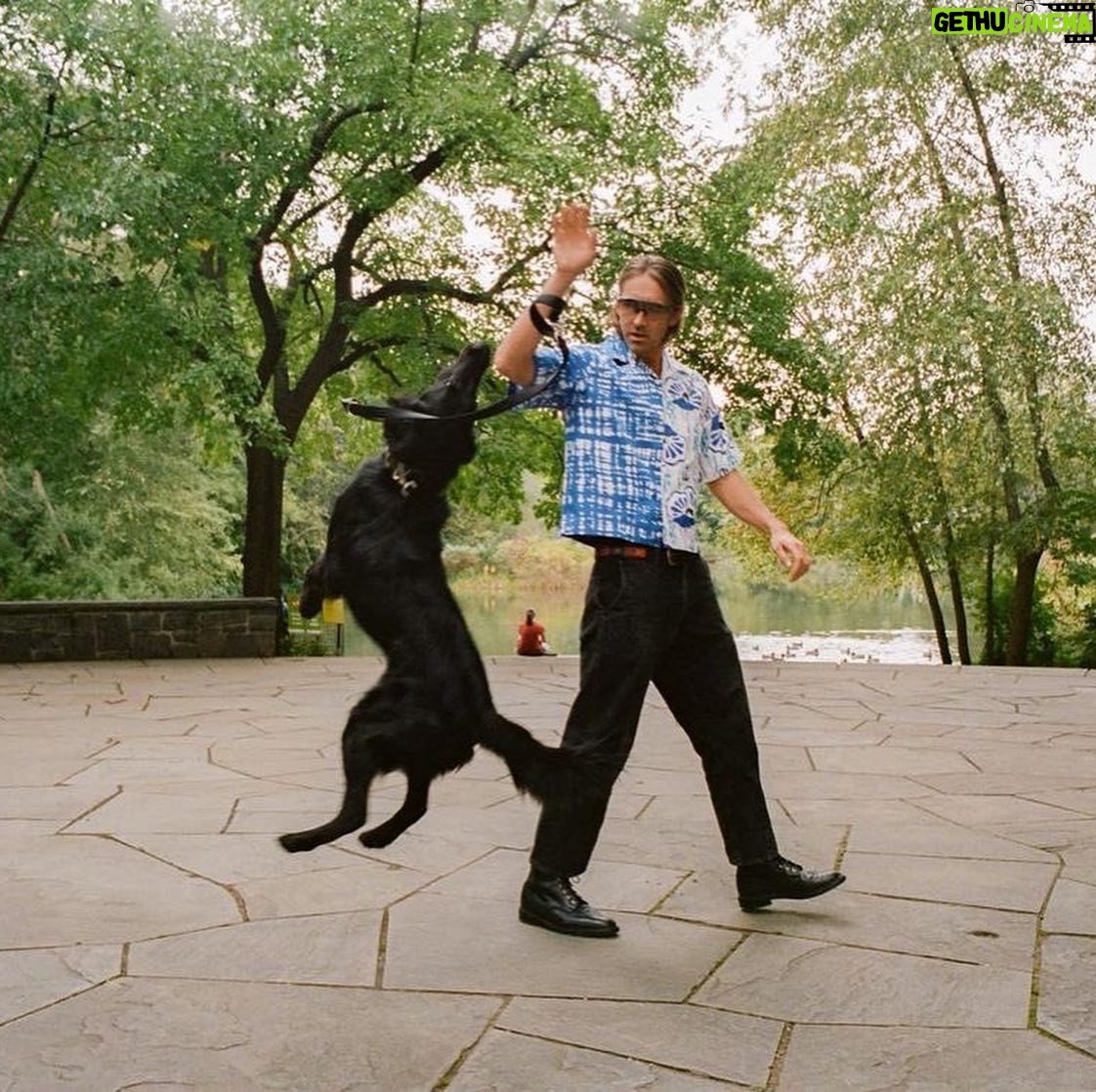 Lee Pace - 64.2K Likes - Good dog.
