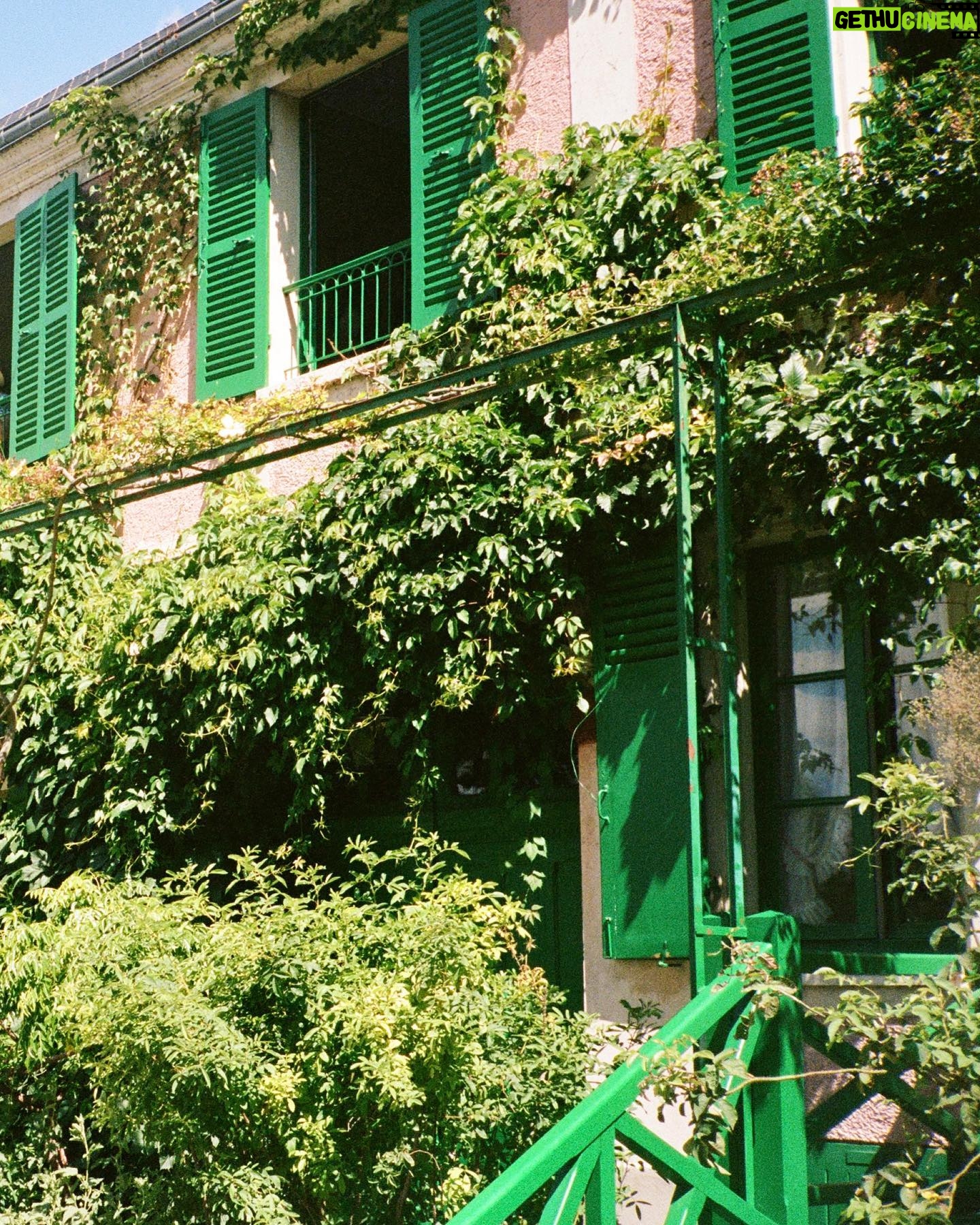 Lee Pace - 60.1K Likes - GIVERNY.