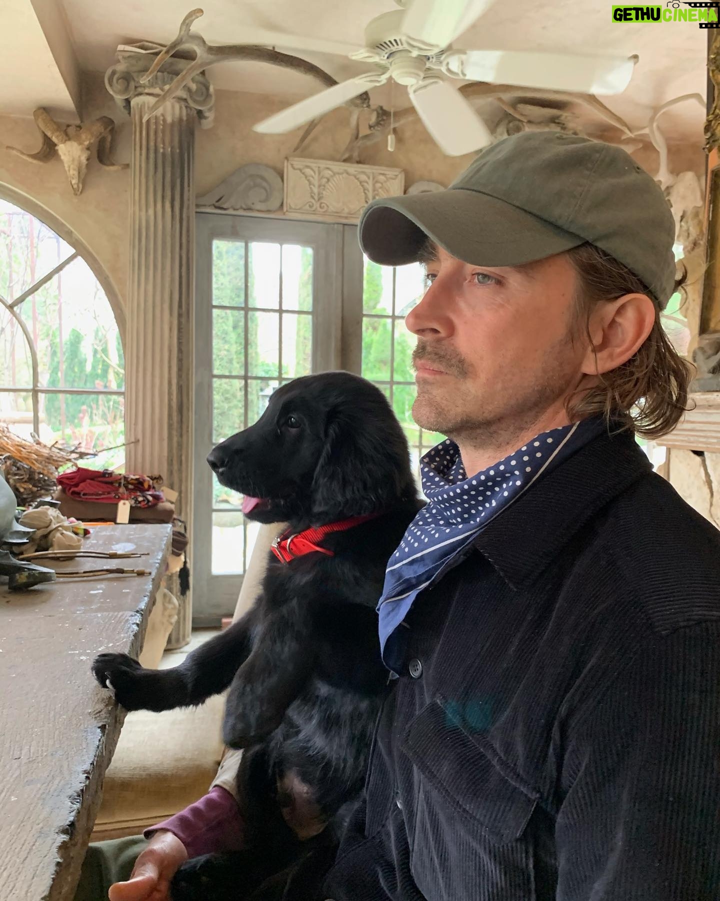 Lee Pace - 71.3K Likes - GUS.
GUSTO.
AUGUSTUS.