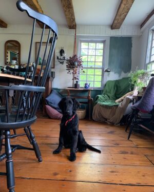 Lee Pace Instagram - GUS.
GUSTO.
AUGUSTUS.
