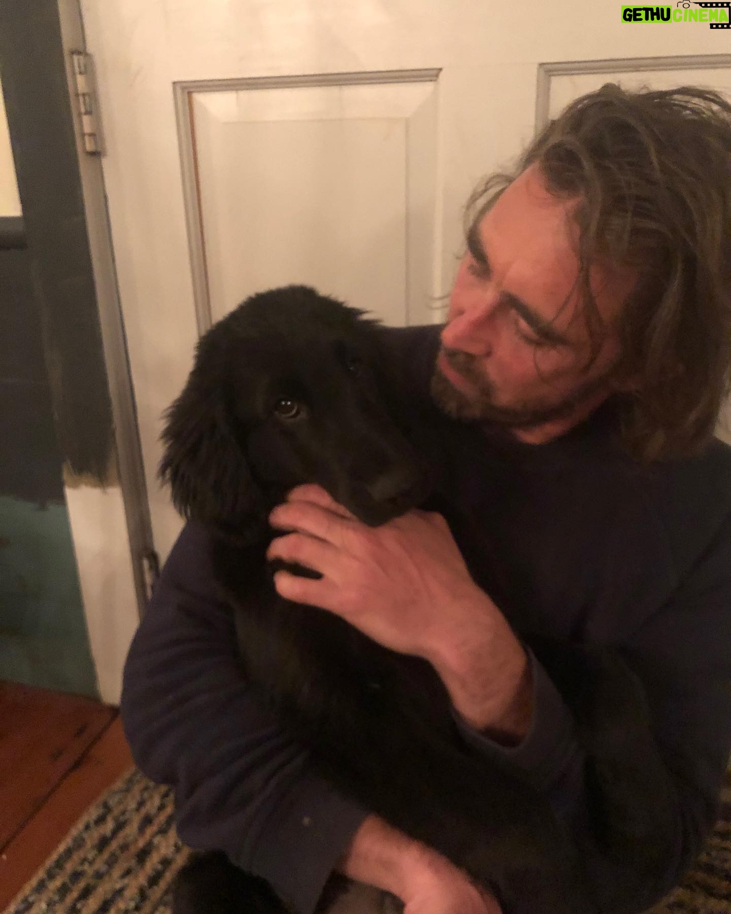 Lee Pace - 71.3K Likes - GUS.
GUSTO.
AUGUSTUS.