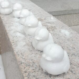 Lee Sang-woo Instagram - snow duck🐥🦆